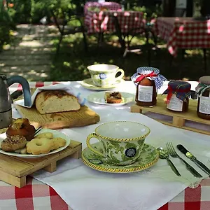 Agriturismo Alle Torricelle Vakantieboerderij